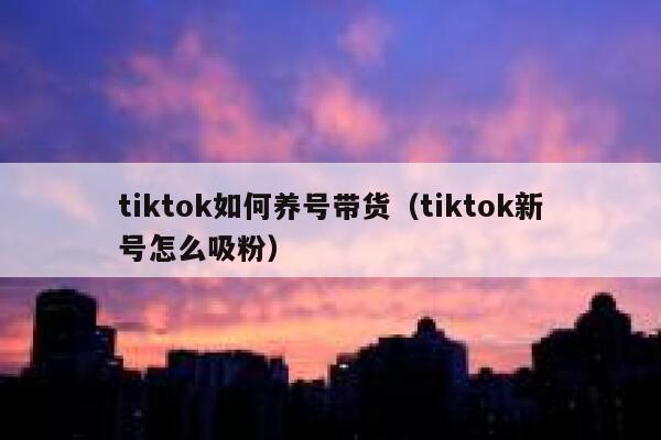 tiktok如何养号带货（tiktok新号怎么吸粉） 第1张