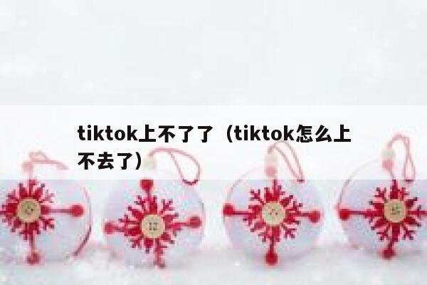 tiktok上不了了（tiktok怎么上不去了） 第1张