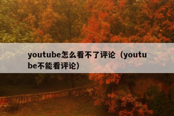 youtube怎么看不了评论（youtube不能看评论） 第1张