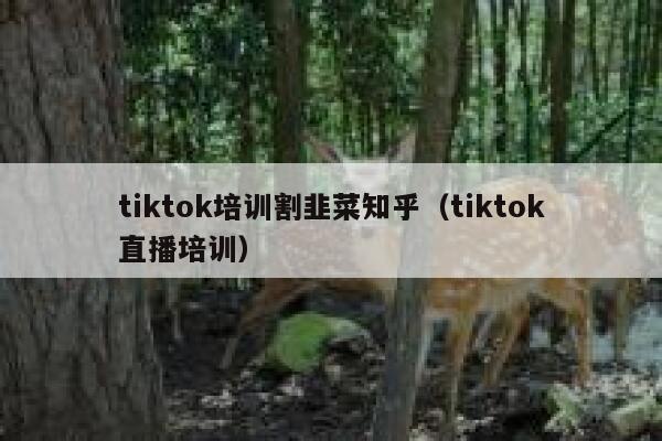 tiktok培训割韭菜知乎（tiktok直播培训） 第1张