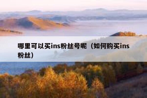 哪里可以买ins粉丝号呢（如何购买ins粉丝） 第1张