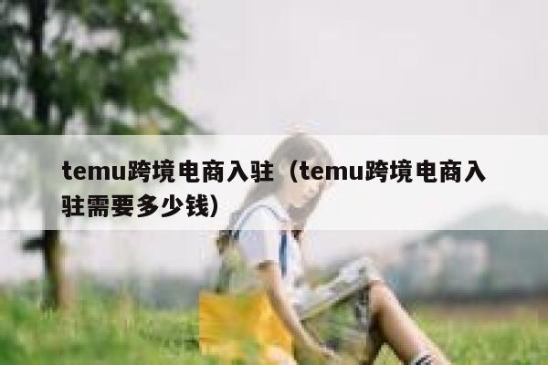 temu跨境电商入驻（temu跨境电商入驻需要多少钱） 第1张