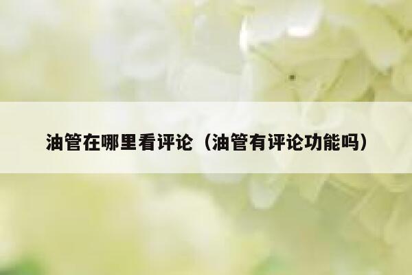 油管在哪里看评论（油管有评论功能吗） 第1张