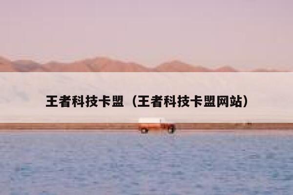 王者科技卡盟（王者科技卡盟网站） 第1张