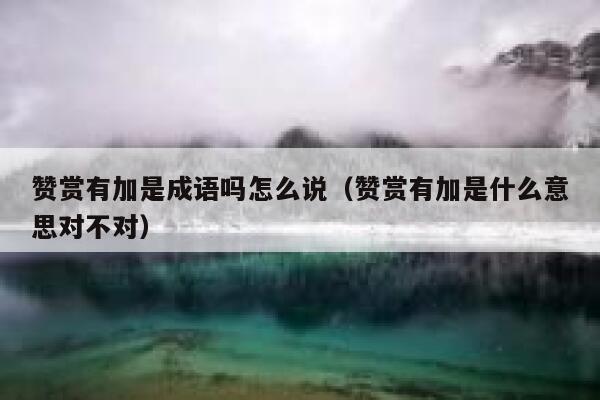 赞赏有加是成语吗怎么说（赞赏有加是什么意思对不对） 第1张