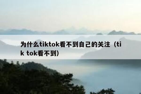 为什么tiktok看不到自己的关注（tik tok看不到） 第1张