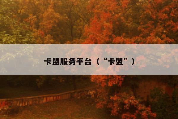 卡盟服务平台（“卡盟”） 第1张
