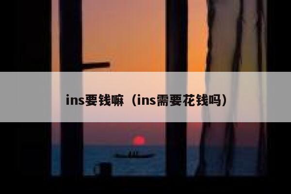 ins要钱嘛（ins需要花钱吗） 第1张