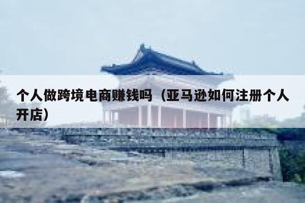 个人做跨境电商赚钱吗(亚马逊如何注册个人开店) 第1张 个人做跨境电商赚钱吗(亚马逊如何注册个人开店) 第1张