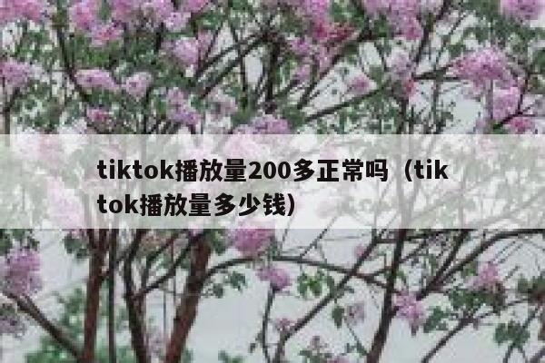tiktok播放量200多正常吗（tiktok播放量多少钱） 第1张