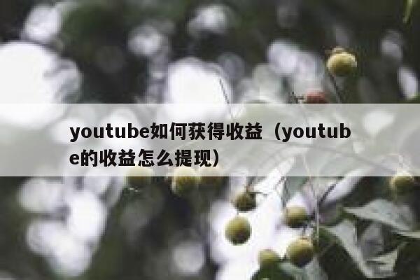 youtube如何获得收益(youtube的收益怎么提现) 第1张 youtube如何获得收益(youtube的收益怎么提现) 第1张