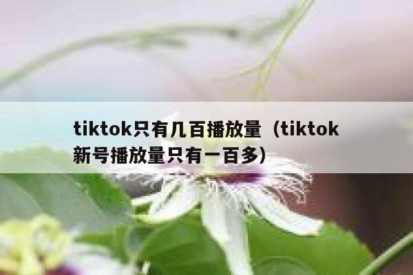 tiktok只有几百播放量（tiktok新号播放量只有一百多） 第1张