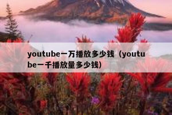 youtube一万播放多少钱（youtube一千播放量多少钱） 第1张