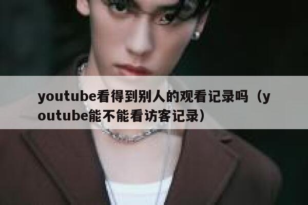 youtube看得到别人的观看记录吗（youtube能不能看访客记录） 第1张