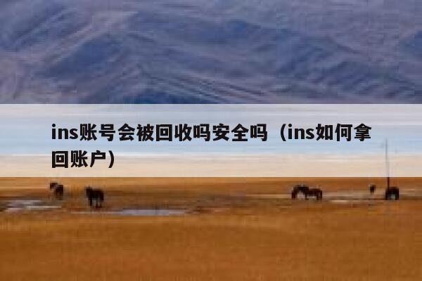 ins账号会被回收吗安全吗(ins如何拿回账户) 第1张 ins账号会被回收吗安全吗(ins如何拿回账户) 第1张