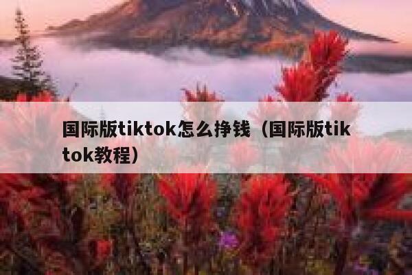 国际版tiktok怎么挣钱（国际版tiktok教程） 第1张