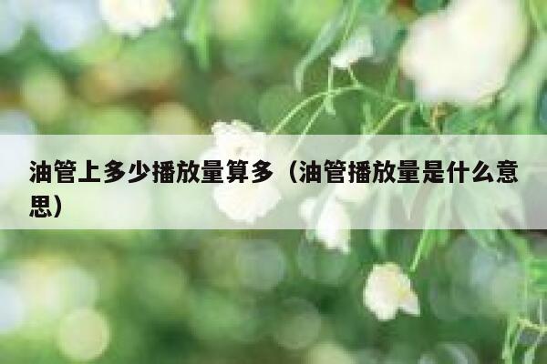 油管上多少播放量算多（油管播放量是什么意思） 第1张