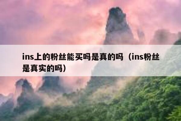 ins上的粉丝能买吗是真的吗（ins粉丝是真实的吗） 第1张