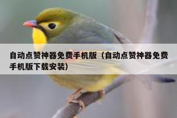 自动点赞神器免费手机版(自动点赞神器免费手机版下载安装) 第1张 自动点赞神器免费手机版(自动点赞神器免费手机版下载安装) 第1张