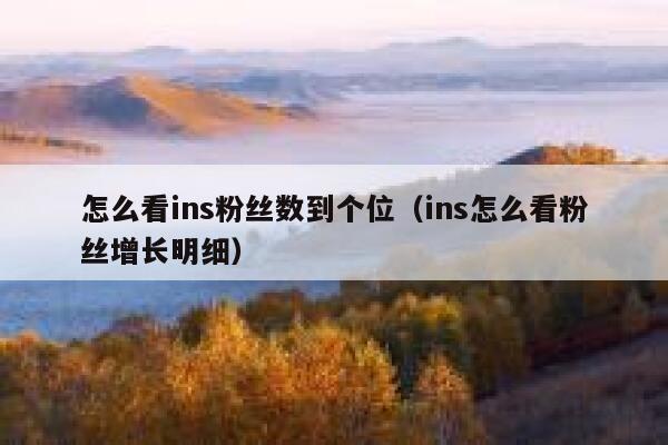 怎么看ins粉丝数到个位(ins怎么看粉丝增长明细) 第1张 怎么看ins粉丝数到个位(ins怎么看粉丝增长明细) 第1张