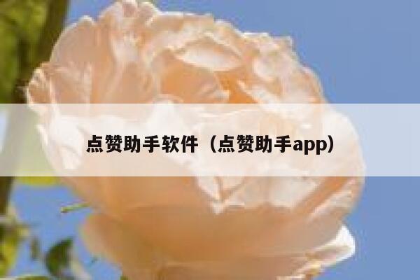 点赞助手软件(点赞助手app) 第1张 点赞助手软件(点赞助手app) 第1张