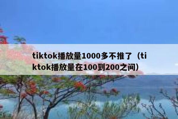tiktok播放量1000多不推了（tiktok播放量在100到200之间） 第1张