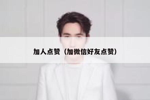 加人点赞（加微信好友点赞） 第1张