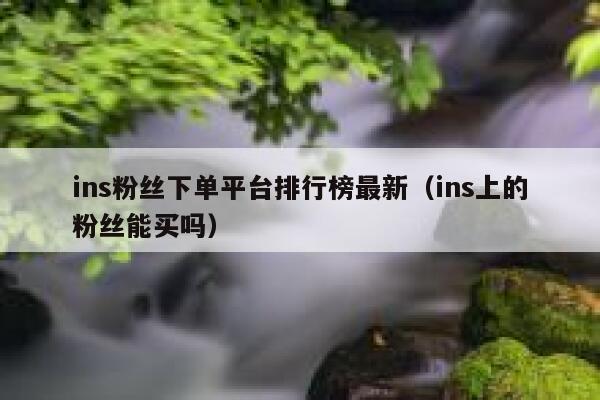 ins粉丝下单平台排行榜最新（ins上的粉丝能买吗） 第1张
