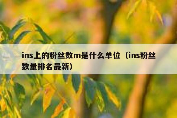 ins上的粉丝数m是什么单位（ins粉丝数量排名最新） 第1张