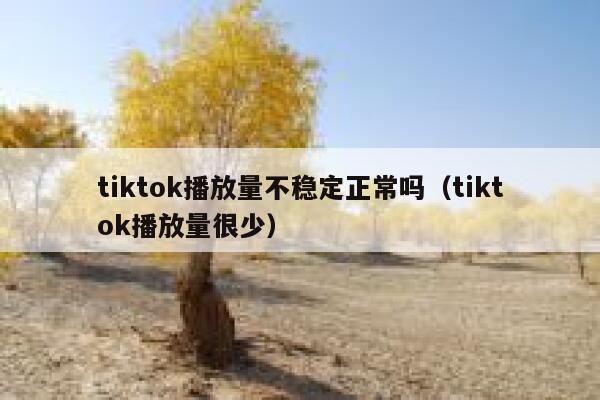 tiktok播放量不稳定正常吗(tiktok播放量很少) 第1张 tiktok播放量不稳定正常吗(tiktok播放量很少) 第1张