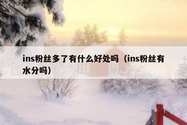 ins粉丝多了有什么好处吗（ins粉丝有水分吗） 第1张