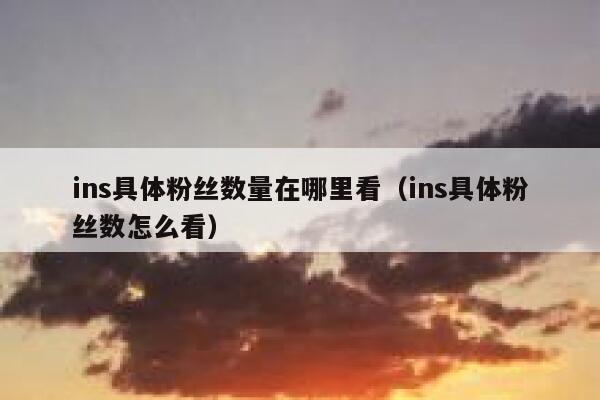 ins具体粉丝数量在哪里看（ins具体粉丝数怎么看） 第1张