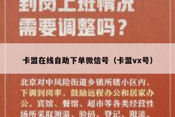 卡盟在线自助下单微信号(卡盟vx号) 第1张 卡盟在线自助下单微信号(卡盟vx号) 第1张
