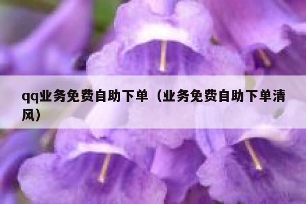 qq业务免费自助下单（业务免费自助下单清风） 第1张