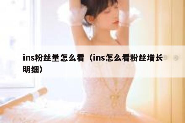 ins粉丝量怎么看（ins怎么看粉丝增长明细） 第1张