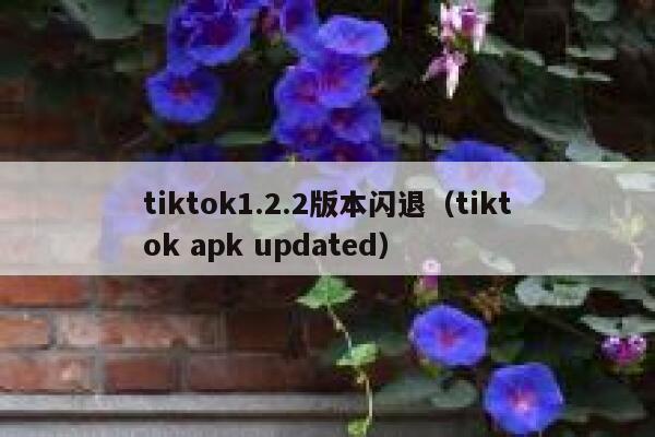 tiktok1.2.2版本闪退（tiktok apk updated） 第1张