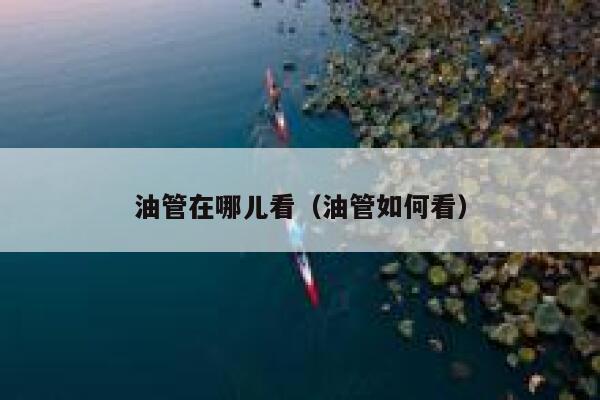 油管在哪儿看（油管如何看） 第1张
