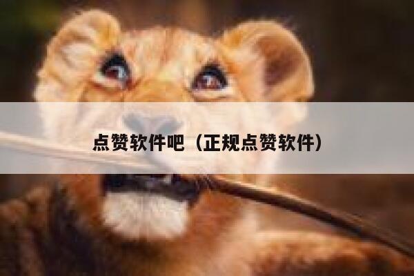 点赞软件吧（正规点赞软件） 第1张