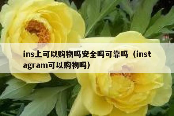 ins上可以购物吗安全吗可靠吗(instagram可以购物吗) 第1张 ins上可以购物吗安全吗可靠吗(instagram可以购物吗) 第1张