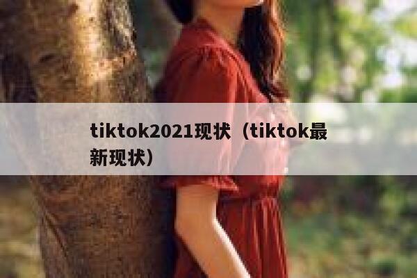 tiktok2021现状（tiktok最新现状） 第1张
