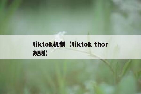 tiktok机制（tiktok thor规则） 第1张