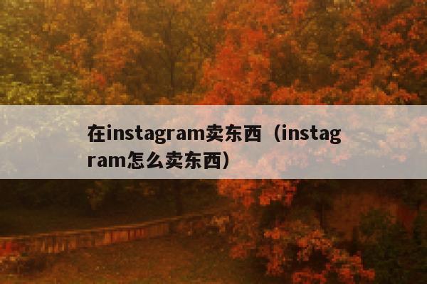 在instagram卖东西（instagram怎么卖东西） 第1张