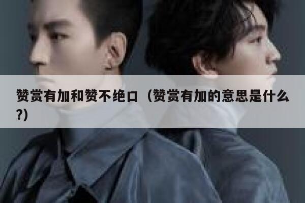 赞赏有加和赞不绝口（赞赏有加的意思是什么?） 第1张
