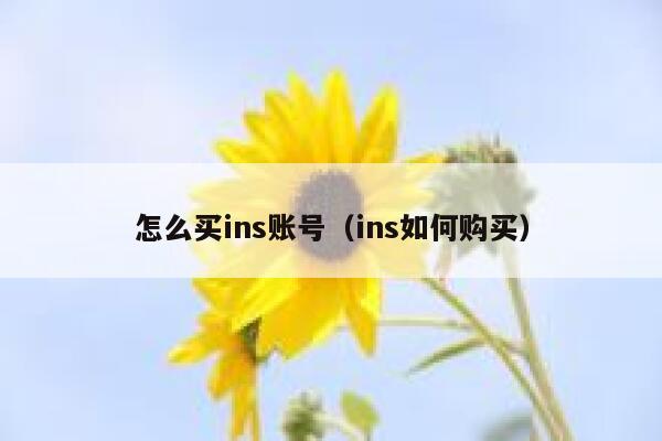 怎么买ins账号（ins如何购买） 第1张