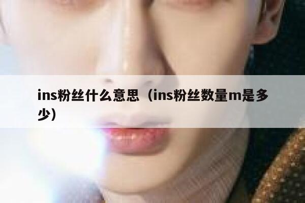 ins粉丝什么意思（ins粉丝数量m是多少） 第1张