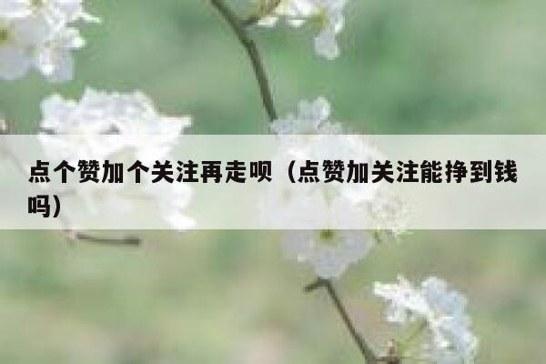 点个赞加个关注再走呗(点赞加关注能挣到钱吗) 第1张 点个赞加个关注再走呗(点赞加关注能挣到钱吗) 第1张