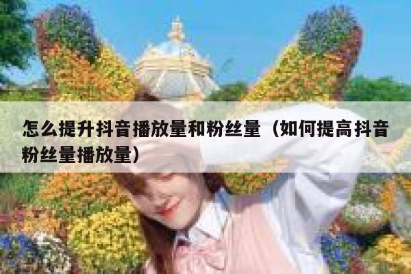 怎么提升抖音播放量和粉丝量(如何提高抖音粉丝量播放量) 第1张 怎么提升抖音播放量和粉丝量(如何提高抖音粉丝量播放量) 第1张