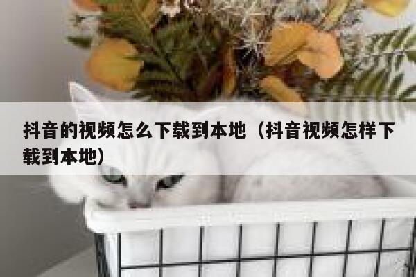 抖音的视频怎么下载到本地（抖音视频怎样下载到本地） 第1张