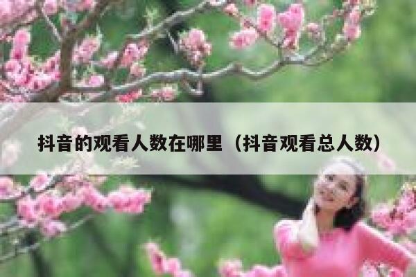 抖音的观看人数在哪里（抖音观看总人数） 第1张