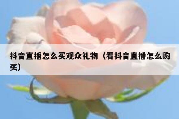 抖音直播怎么买观众礼物（看抖音直播怎么购买） 第1张